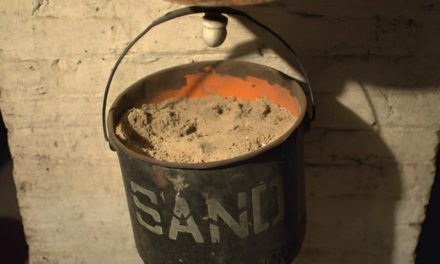 Sand For Your Leopard Gecko?