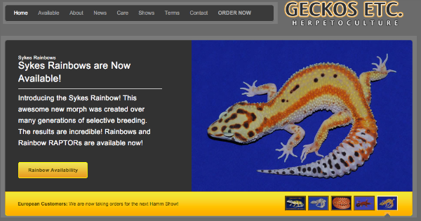 Geckosetc.com